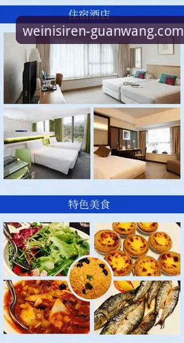 威尼斯人平台移动版使用指南：从安装到畅玩的完整体验分享